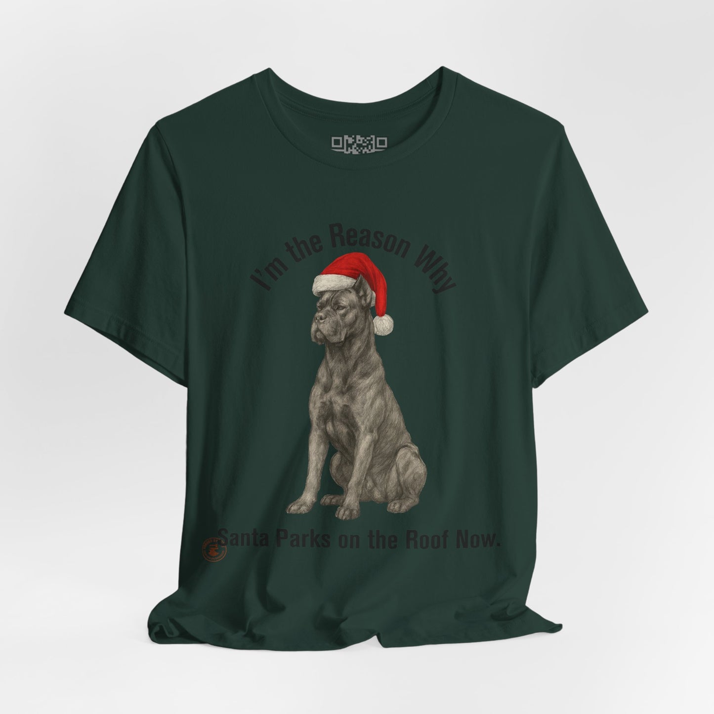 Im the Reason Santa Parks on the Roof Funny Cane Corso Christmas Tee