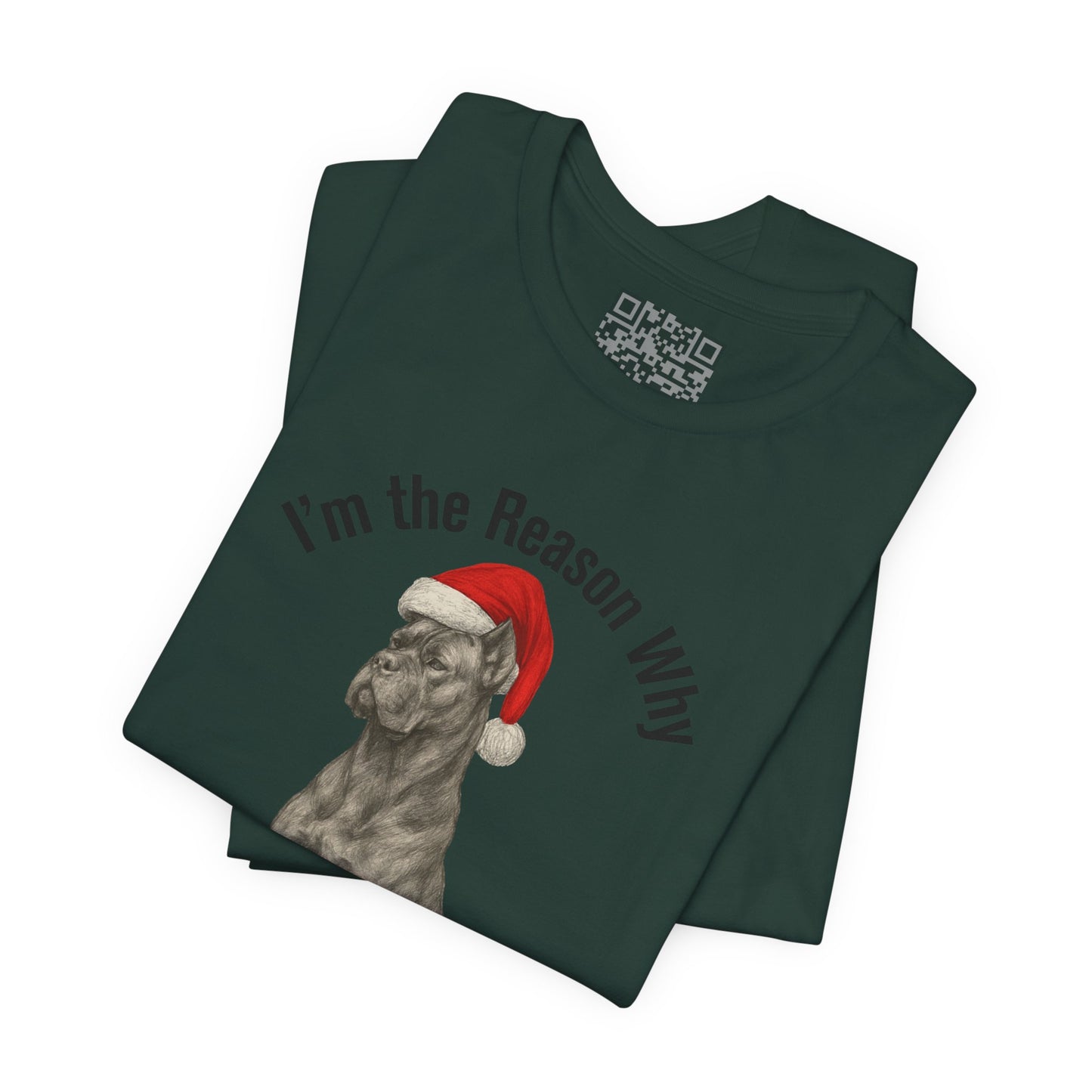 Im the Reason Santa Parks on the Roof Funny Cane Corso Christmas Tee