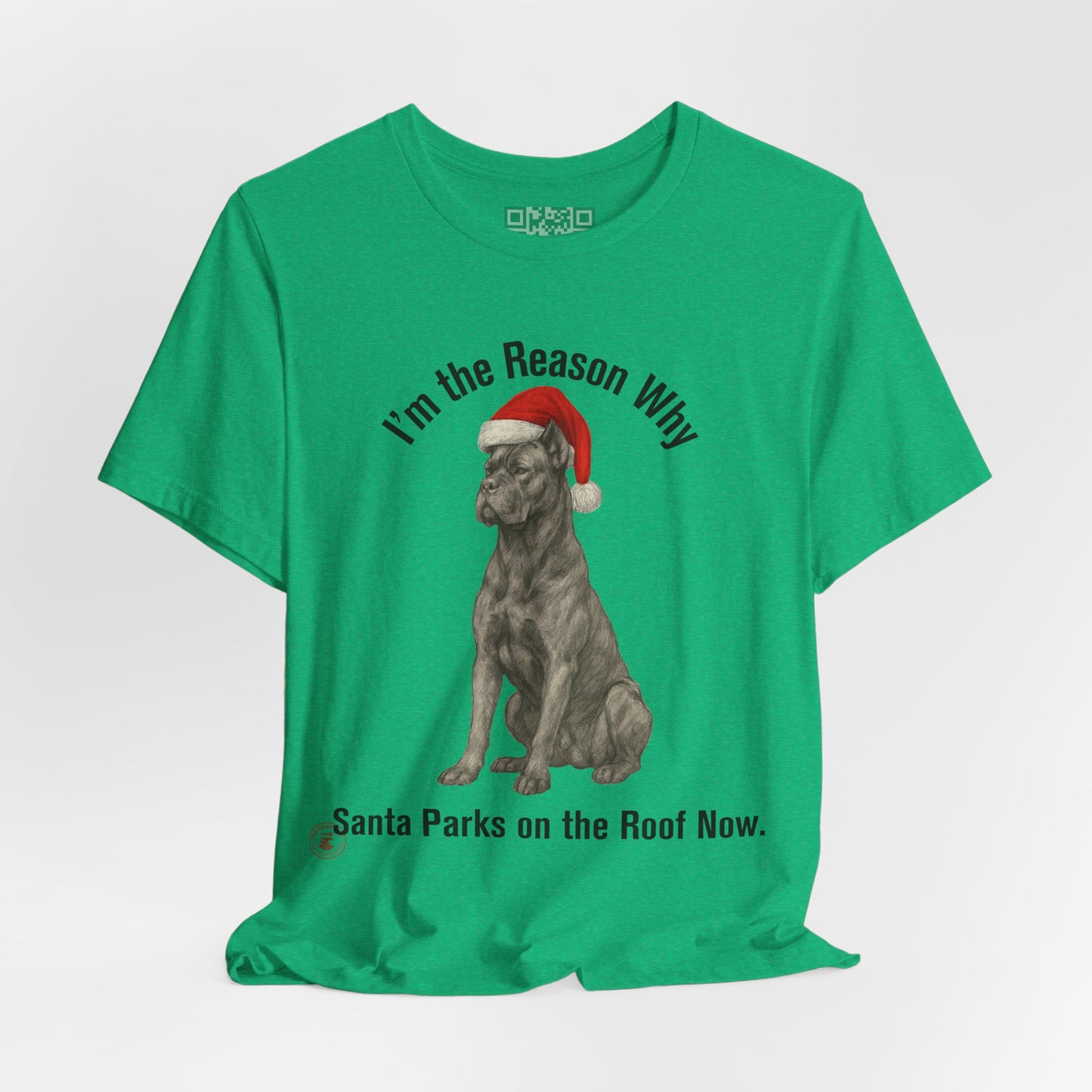 Im the Reason Santa Parks on the Roof Funny Cane Corso Christmas Tee