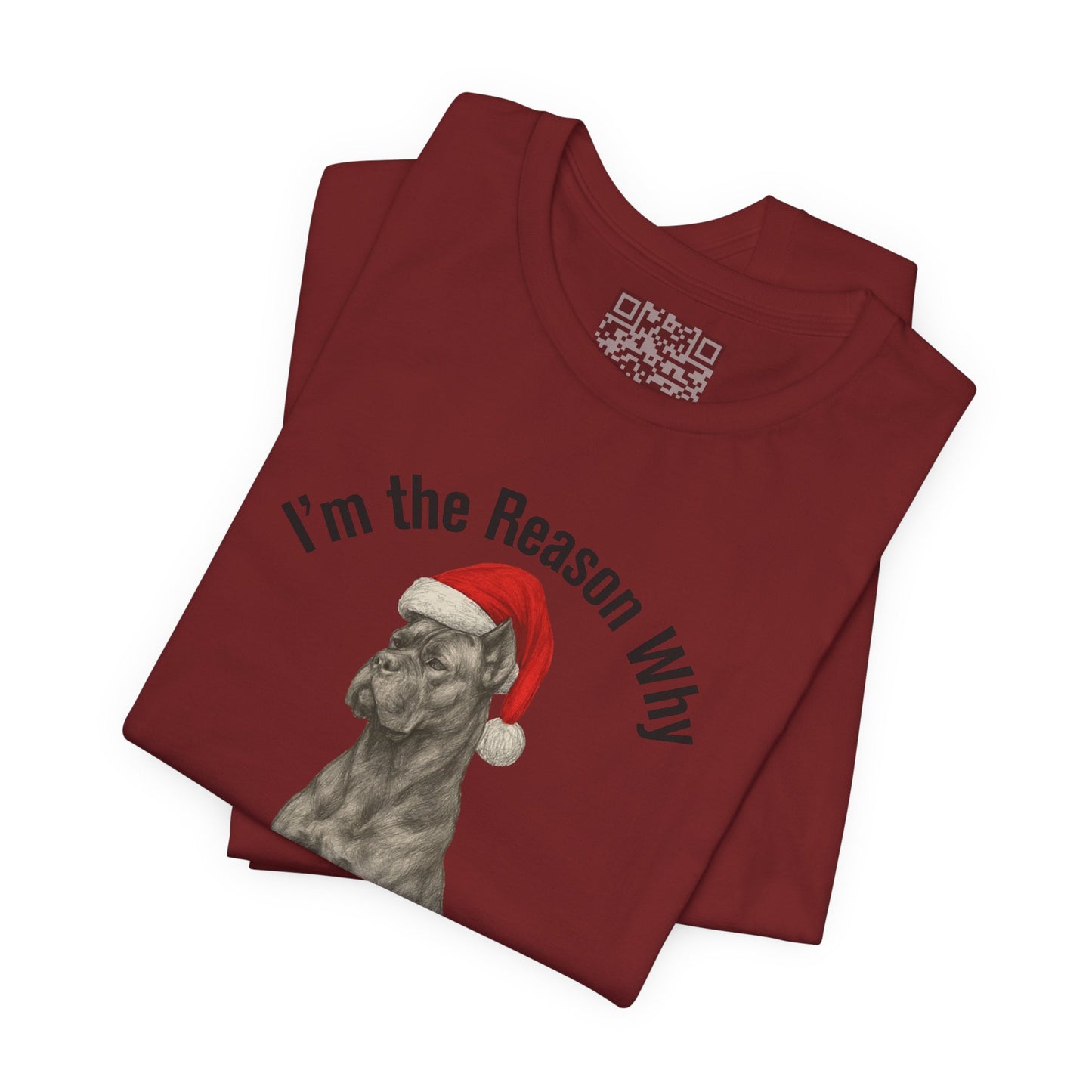 Im the Reason Santa Parks on the Roof Funny Cane Corso Christmas Tee