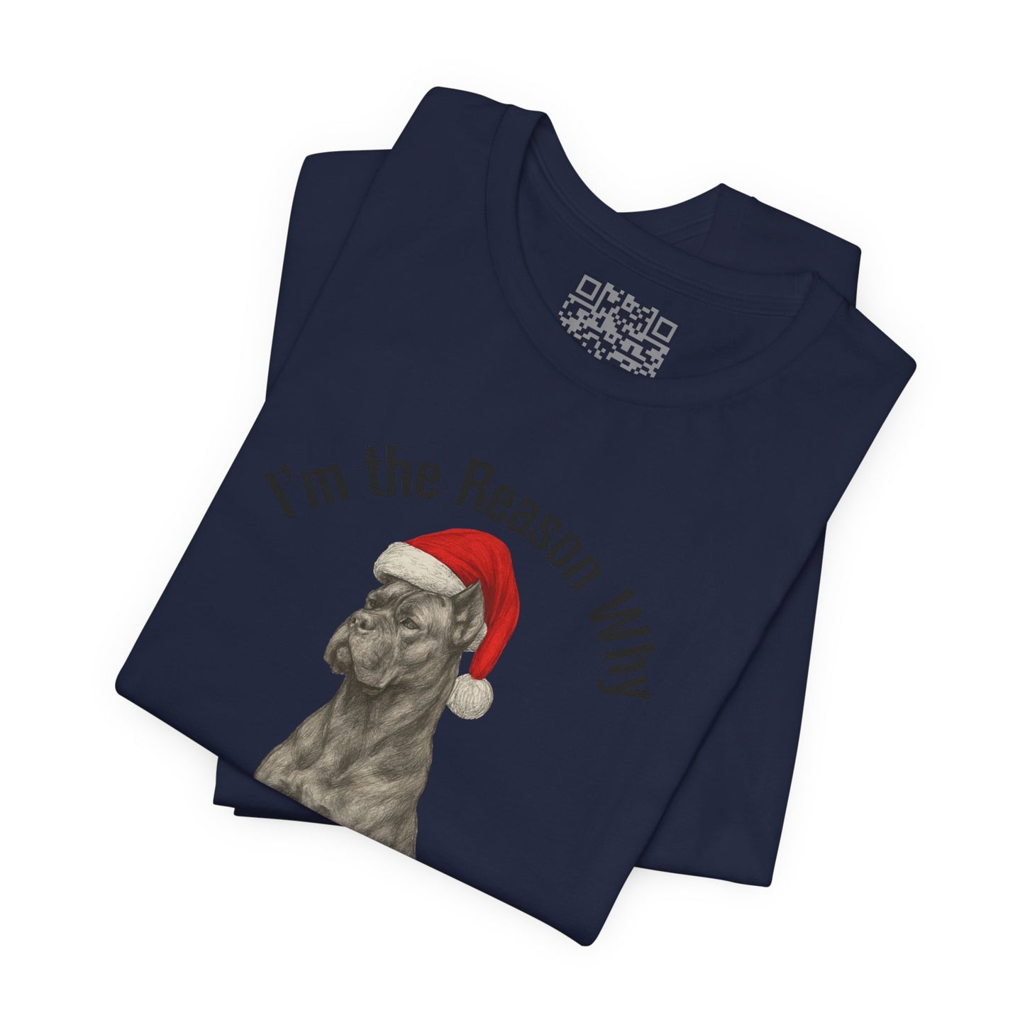 Im the Reason Santa Parks on the Roof Funny Cane Corso Christmas Tee