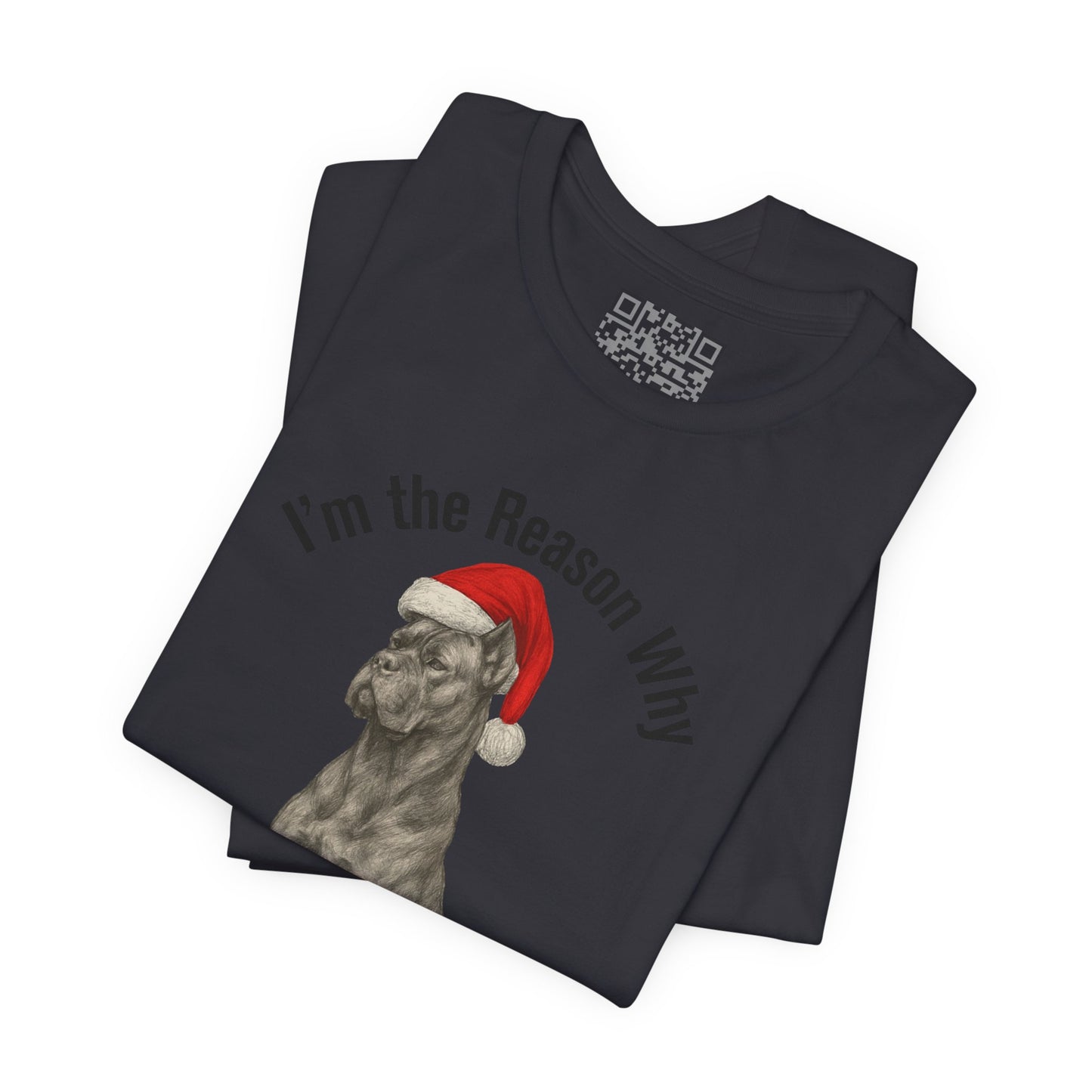 Im the Reason Santa Parks on the Roof Funny Cane Corso Christmas Tee