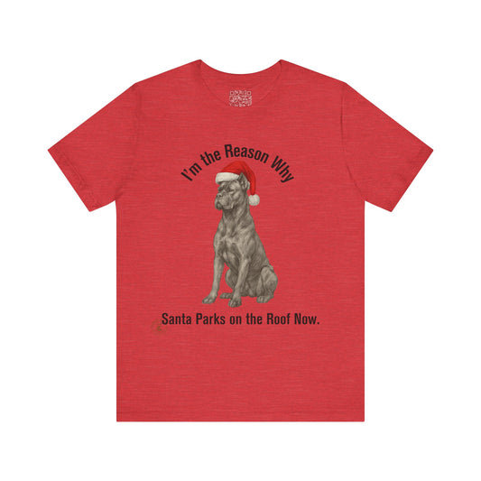 Im the Reason Santa Parks on the Roof Funny Cane Corso Christmas Tee