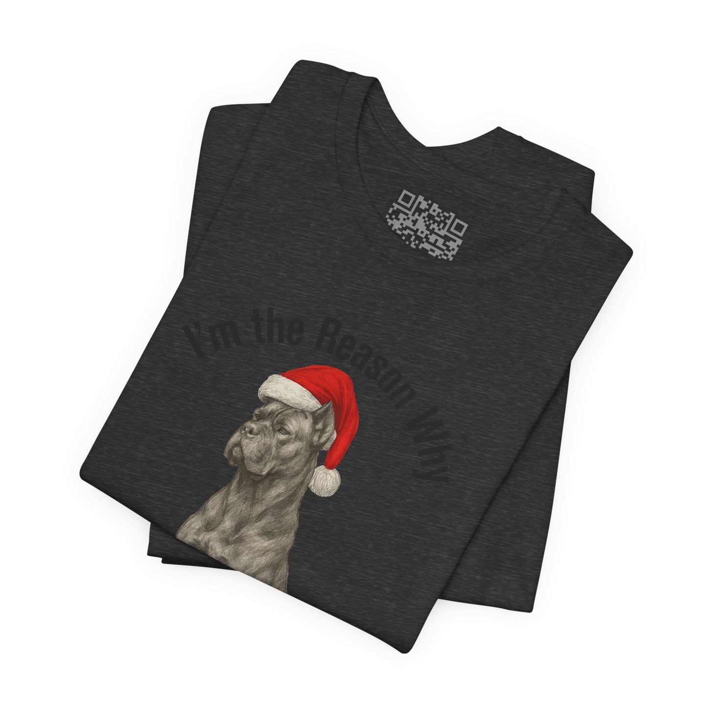 Im the Reason Santa Parks on the Roof Funny Cane Corso Christmas Tee